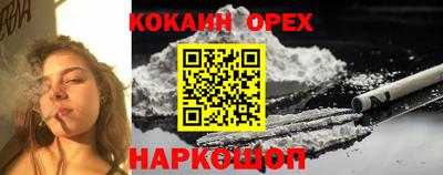 гидра Бузулук
