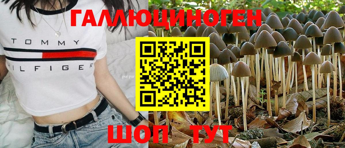наркотики  Вход с VPN  Новосибирск  Псилоцибиновые грибы Psilocybe 